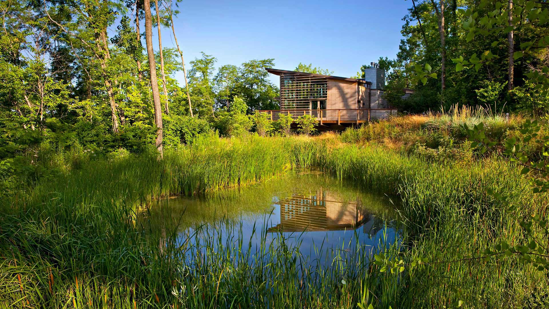 Bartlett Reflection Center